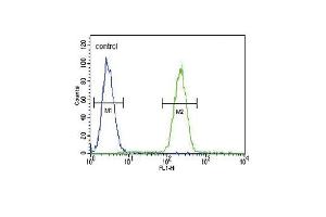 GIPR Antibody (Center) (ABIN391714 and ABIN2841605) flow cytometric analysis of MDA-M cells (right histogram) compared to a negative control (left histogram). (GIPR Antikörper  (N-Term))