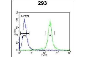 TCERG1L Antibody (Center) (ABIN652828 and ABIN2842540) flow cytometric analysis of 293 cells (right histogram) compared to a negative control cell (left histogram). (TCERG1L Antikörper  (AA 392-421))
