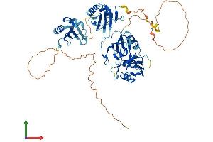 Protein Structure (PS) image for Heterogeneous Nuclear Ribonucleoprotein L-Like (HNRPLL) (AA 1-542) protein (His tag) (ABIN7548335)