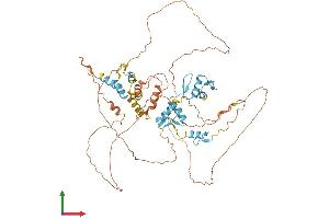 Protein Structure (PS) image for Hypermethylated in Cancer 2 (HIC2) (AA 1-619) protein (His tag) (ABIN7561687)