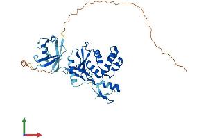Protein Structure (PS) image for Ubiquitin Thioesterase OTU1 (YOD1) (AA 1-348) protein (His tag) (ABIN7550330)