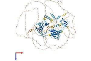 RBM10 Protein (AA 1-930) (His tag)