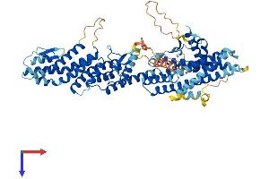 TUBGCP4 Protein (AA 1-667) (His tag)