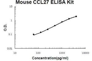 Mouse CCL27/CTACK PicoKine ELISA Kit standard curve