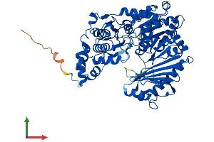 Protein Structure (PS) image for phosphoglucomutase 2-Like 1 (PGM2L1) (AA 1-622) protein (His tag) (ABIN7554909)