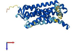 Olfactory Receptor 1Q1 (OR1Q1) (AA 1-314) protein (His tag)