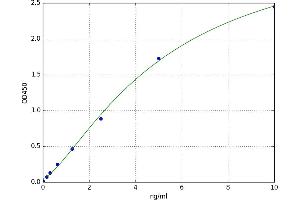 Aminoacylase 1 (ACY1) ELISA Kit
