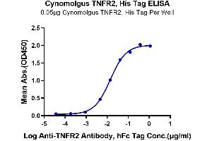 ELISA image for Tumor Necrosis Factor Receptor Superfamily, Member 1B (TNFRSF1B) (AA 23-257) protein (His tag) (ABIN7275756)