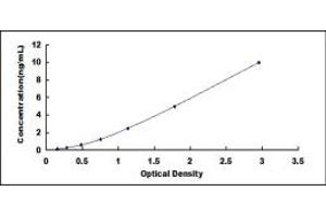 Typical standard curve (MT3 ELISA Kit)