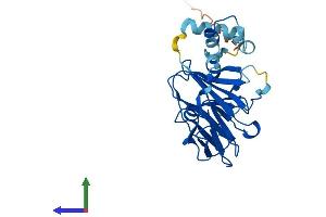 AlphaFold protein structure predicition of Human Recombinant SPSB2 Protein, UniprotID Q99619 (SPSB2 Protein (AA 1-263) (His tag))