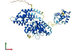 AlphaFold protein structure predicition of Human Recombinant EHD3 Protein, UniprotID Q9NZN3