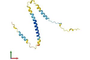 Protein Structure (PS) image for Potassium Voltage-Gated Channel, Isk-Related Family, Member 1 (KCNE1) (AA 1-129) protein (His tag) (ABIN7562976)