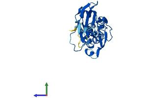 Protein Structure (PS) image for F-Box Protein 44 (FBXO44) (AA 1-255) protein (His tag) (ABIN7558713)