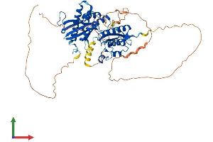 Protein Structure (PS) image for Phosphatidylinositol-4-Phosphate 5-Kinase, Type I, alpha (PIP5K1A) (AA 1-546) protein (His tag) (ABIN7563514)