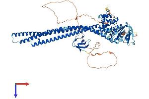 ARHGAP10 Protein (AA 1-786) (His tag)