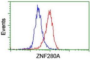 ZNF280A Antikörper  (AA 1-333)