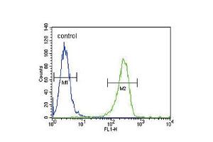 Flow cytometric analysis of A2058 cells (right histogram) compared to a negative control cell (left histogram). (PLAT Antikörper  (AA 371-399))