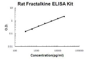 Rat Fractalkine PicoKine ELISA Kit standard curve (CX3CL1 ELISA Kit)