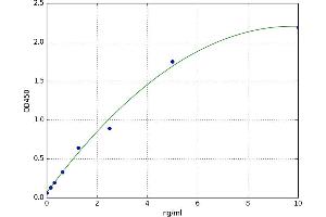 Paroxysmal Nonkinesigenic Dyskinesia (PNKD) ELISA Kit