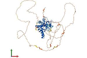 Protein Structure (PS) image for Nuclear Factor I/B (NFIB) (AA 1-570) protein (His tag) (ABIN7556835)