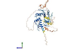 AlphaFold protein structure predicition of Human Recombinant ZNF662 Protein, UniprotID Q6ZS27