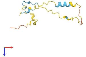 PRR15L Protein (AA 1-100) (His tag)