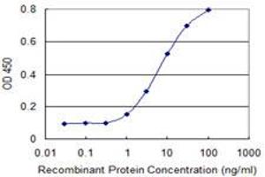 Detection limit for recombinant GST tagged KCNA1 is 0. (KCNA1 Antikörper  (AA 410-495))