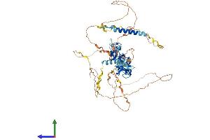 Protein Structure (PS) image for Lipoma-preferred partner (LPP) (AA 1-613) protein (His tag) (ABIN7564324)