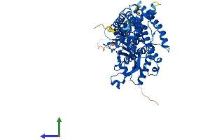 Protein Structure (PS) image for Lipase Maturation Factor 1 (LMF1) (AA 1-574) protein (His tag) (ABIN7557144)