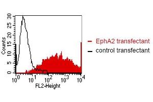 Flow Cytometry (FACS) image for anti-EPH Receptor A2 (EPHA2) antibody (ABIN179724)