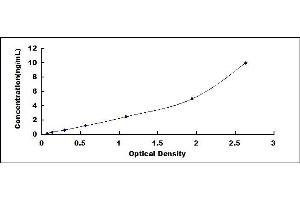 PEBP1 ELISA Kit