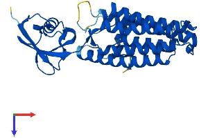 TECR Protein (AA 1-308) (His tag)