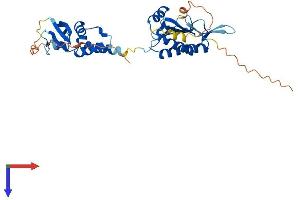 KCTD13 Protein (AA 1-329) (His tag)