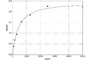 A typical standard curve (IDH1 ELISA Kit)