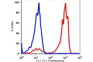 Image no. 2 for anti-Fc gamma RII (CD32) antibody (FITC) (ABIN2704248) (Fc gamma RII (CD32) Antikörper (FITC))