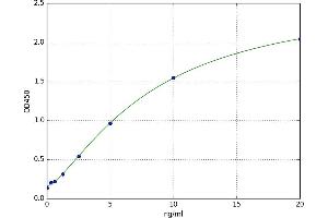Regulatory Associated Protein of mTOR, Complex 1 (RPTOR) ELISA Kit