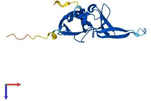 AlphaFold protein structure predicition of Human Recombinant RFESD Protein, UniprotID Q8TAC1
