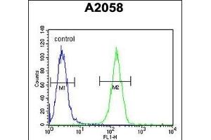 Flow Cytometry (FACS) image for anti-X-Ray Repair Complementing Defective Repair in Chinese Hamster Cells 6 (XRCC6) (AA 521-548), (C-Term) antibody (ABIN651280)
