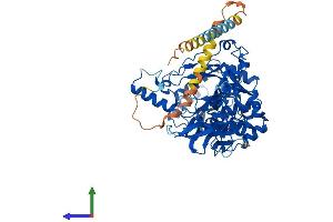 Protein Structure (PS) image for UDP-N-Acetyl-alpha-D-Galactosamine:polypeptide N-Acetylgalactosaminyltransferase 18 (GALNT18) (AA 1-607) protein (His tag) (ABIN7548014)