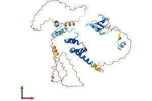 Protein Structure (PS) image for F-Box Protein 5 (FBXO5) (AA 1-421) protein (His tag) (ABIN7558292)