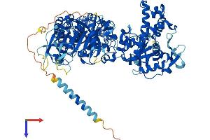 NDST3 Protein (AA 1-873) (His tag)
