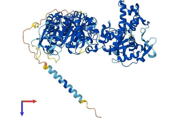 NDST3 Protein (AA 1-873) (His tag)