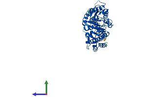 Protein Structure (PS) image for Guanine Nucleotide Binding Protein (G Protein) alpha 12 (GNA12) (AA 1-379) protein (His tag) (ABIN7563025)