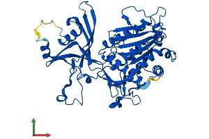 Protein Structure (PS) image for Aspartyl Aminopeptidase (DNPEP) (AA 1-473) protein (His tag) (ABIN7556449)