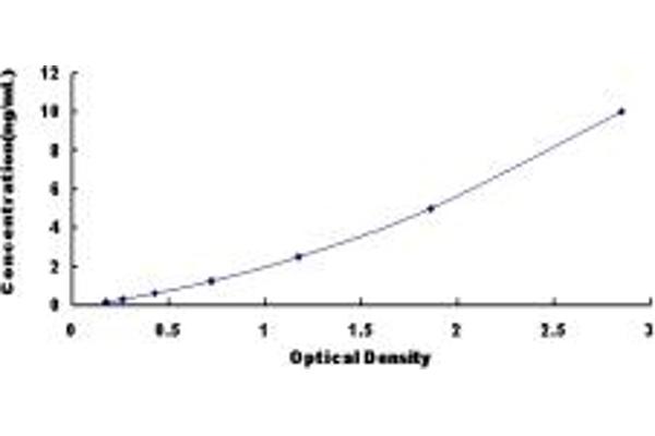 NEU2 ELISA Kit