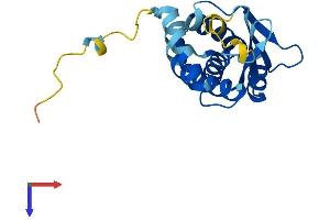 TRAPPC5 Protein (AA 1-188) (His tag)