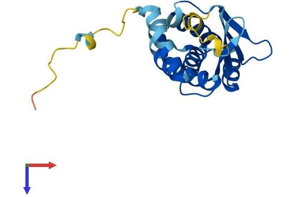 TRAPPC5 Protein (AA 1-188) (His tag)