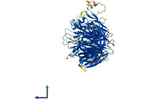 ELP2 Protein (AA 1-826) (His tag)
