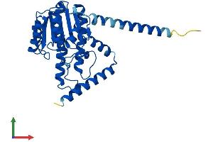 Protein Structure (PS) image for Hydroxysteroid (17-Beta) Dehydrogenase 12 (HSD17B12) (AA 1-312) protein (His tag) (ABIN7553699)
