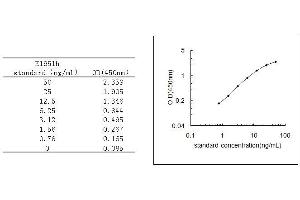 ELISA image for TAR DNA Binding Protein (TARDBP) ELISA Kit (ABIN456525)
